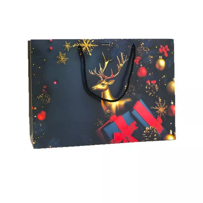 Sac cadeau en papier pour les fêtes de Noël